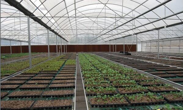 大棚恒溫 大棚恒溫